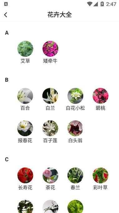 即有花  v1.0.0图1