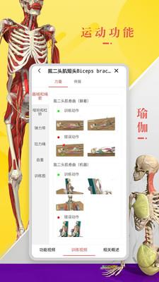 3Dbody解剖