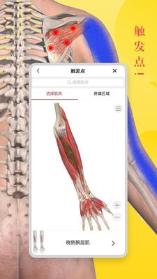 3Dbody解剖  v8.3.40图3