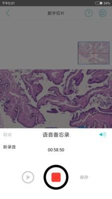 91360会诊  v3.19.1001图4