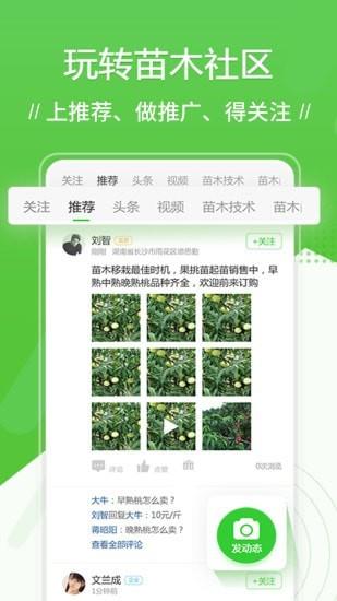 苗木通  v5.10.10图2