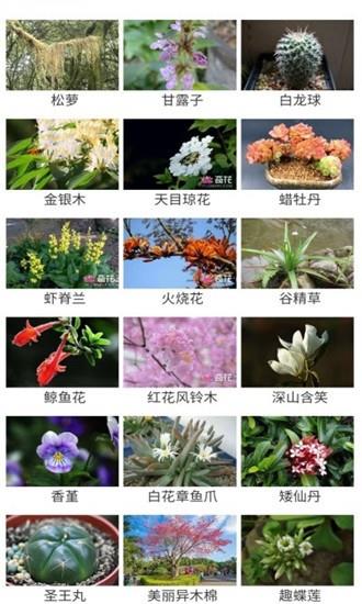 花草种植  v1.01图1