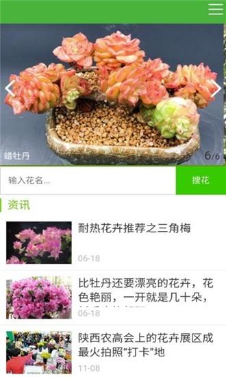 花草种植  v1.01图2