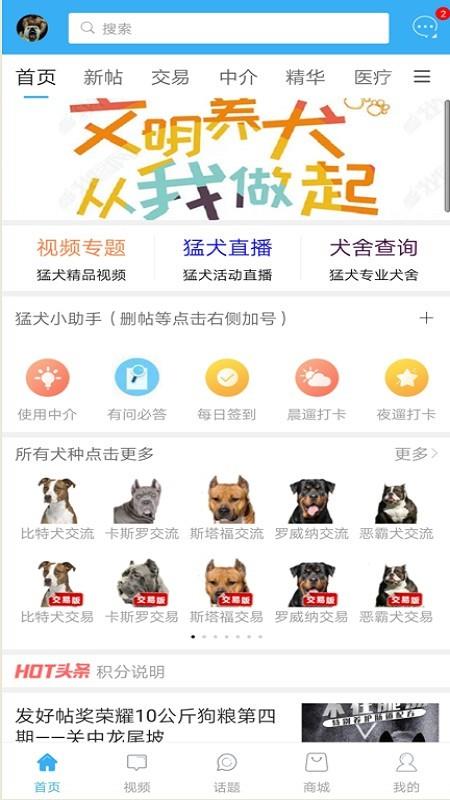 猛犬俱乐部  v20259图1