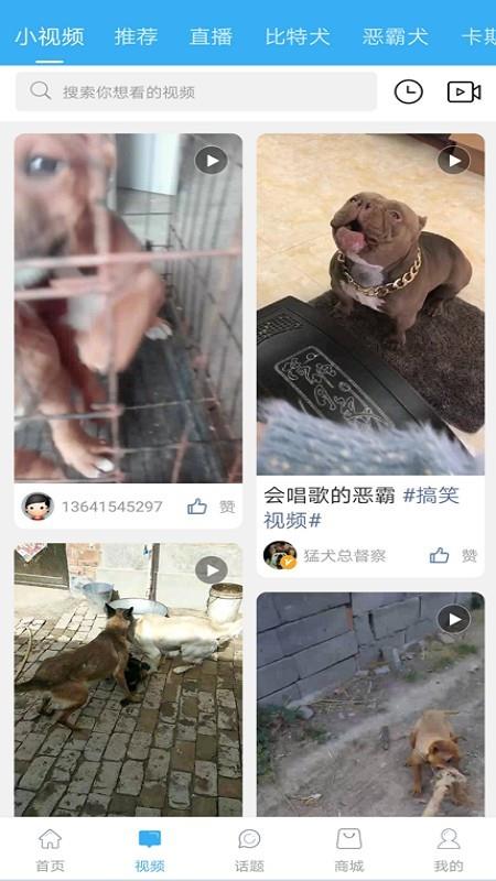 猛犬俱乐部  v20259图2