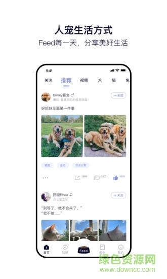 feed宠物社区  v2.2.0图1