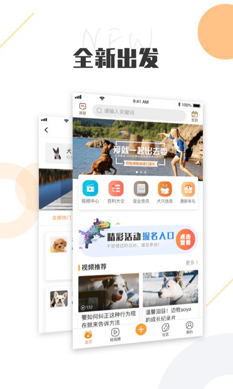 中国K9犬网  v2.8.0图1