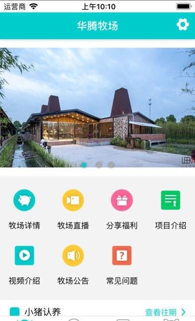 我养的猪  v1.0.0图3