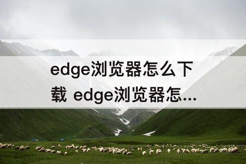 edge浏览器怎么下载 edge浏览器怎么下载插件