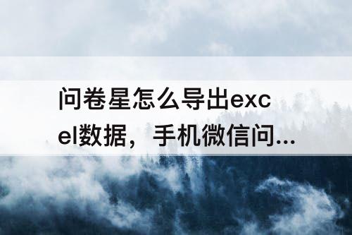 问卷星怎么导出excel数据，手机微信问卷星怎么导出excel数据