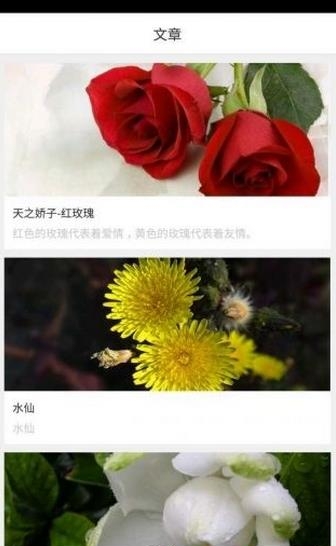 拈花惹草  v1.0.1图3