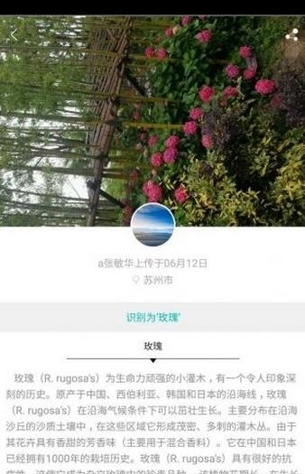 拈花惹草  v1.0.1图2