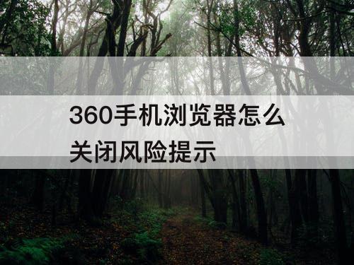 360手机浏览器怎么关闭风险提示