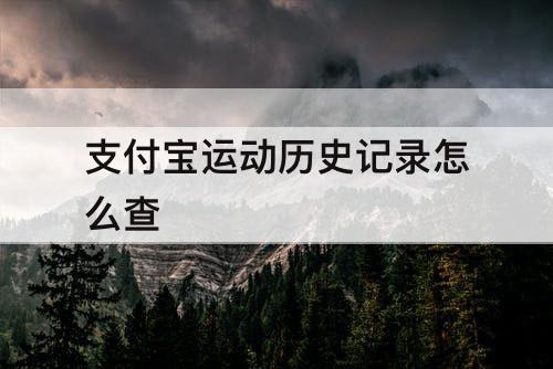 支付宝运动历史记录怎么查