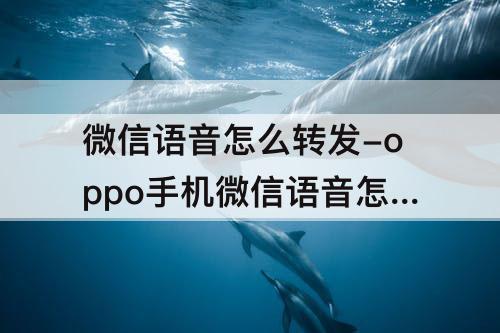 微信语音怎么转发-oppo手机微信语音怎么转发给别人听