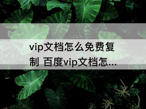 vip文档怎么免费复制 百度vip文档怎么免费复制