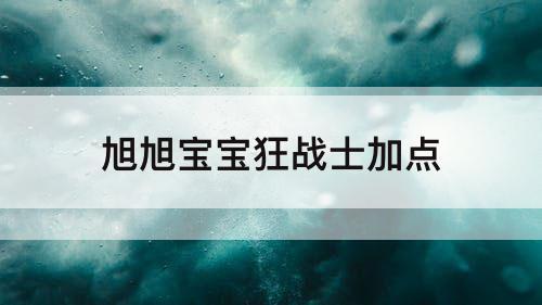 旭旭宝宝狂战士加点