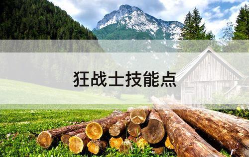 狂战士技能点