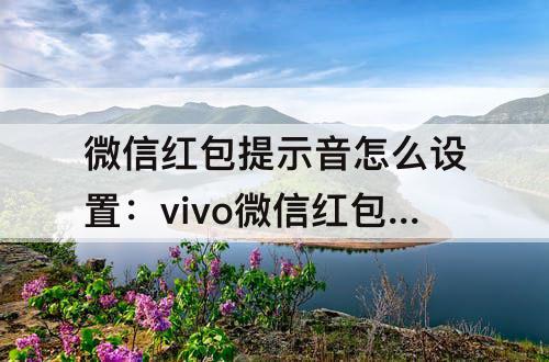 微信红包提示音怎么设置：vivo微信红包提示音怎么设置方法