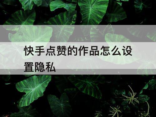 快手点赞的作品怎么设置隐私