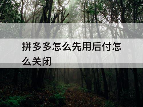 拼多多怎么先用后付怎么关闭