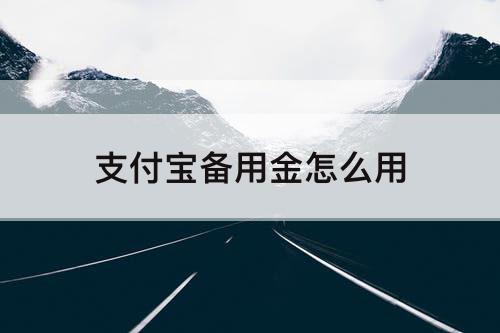 支付宝备用金怎么用