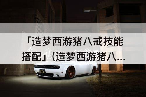 「造梦西游猪八戒技能搭配」(造梦西游猪八戒技能搭配最好)