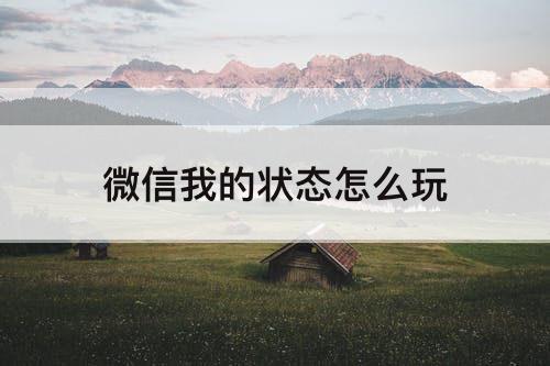 微信我的状态怎么玩