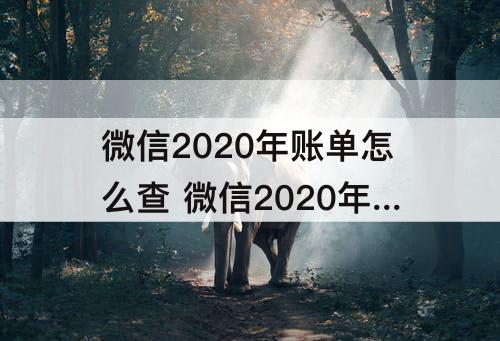 微信2020年账单怎么查 微信2020年账单怎么查不到