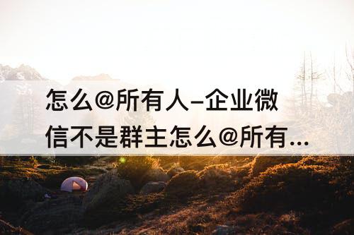 怎么@所有人-企业微信不是群主怎么@所有人