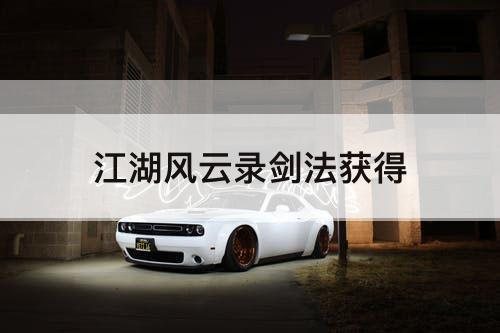 江湖风云录剑法获得