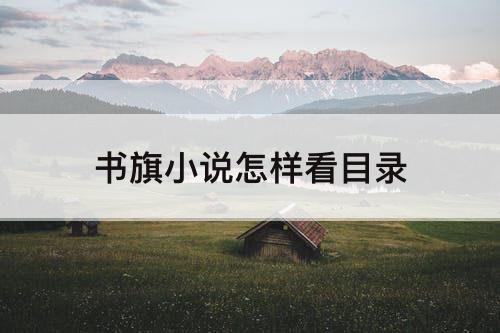 书旗小说怎样看目录