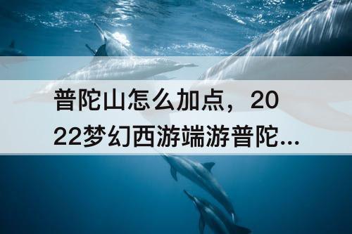 普陀山怎么加点，2022梦幻西游端游普陀山怎么加点