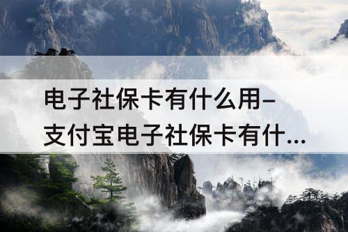 电子社保卡有什么用-支付宝电子社保卡有什么用