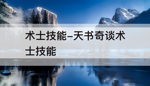 术士技能-天书奇谈术士技能