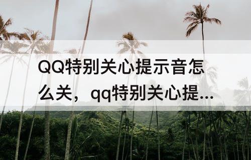 QQ特别关心提示音怎么关，qq特别关心提示音怎么关群里的