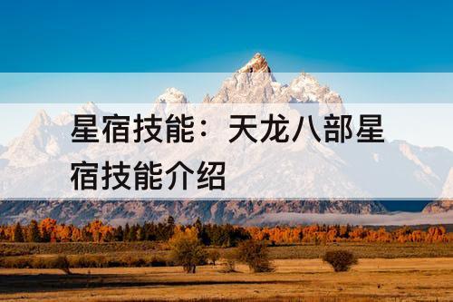 星宿技能：天龙八部星宿技能介绍