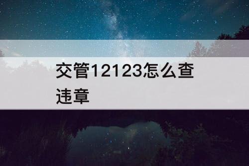 交管12123怎么查违章