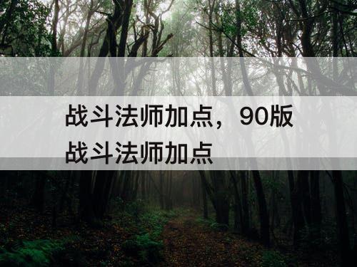 战斗法师加点，90版战斗法师加点