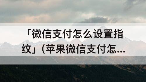 「微信支付怎么设置指纹」(苹果微信支付怎么设置指纹解锁)