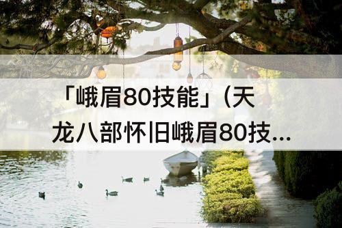 「峨眉80技能」(天龙八部怀旧峨眉80技能)
