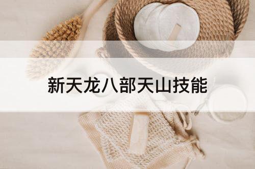 新天龙八部天山技能