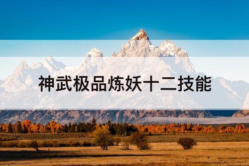 神武极品炼妖十二技能