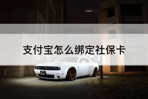 支付宝怎么绑定社保卡