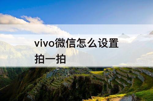 vivo微信怎么设置拍一拍