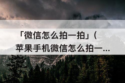 「微信怎么拍一拍」(苹果手机微信怎么拍一拍)