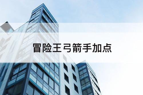 冒险王弓箭手加点