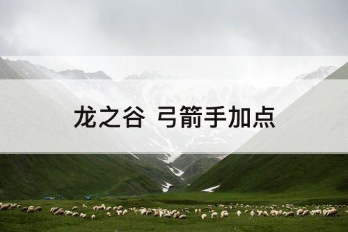 龙之谷 弓箭手加点