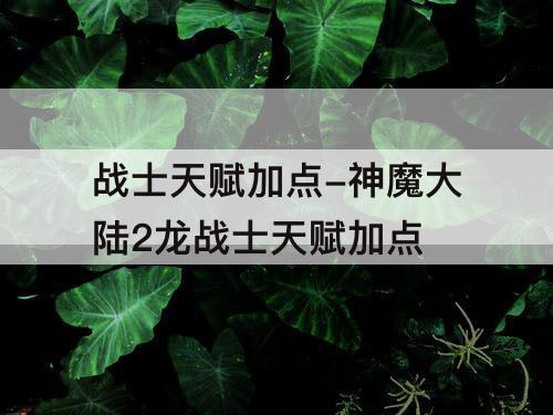 战士天赋加点-神魔大陆2龙战士天赋加点