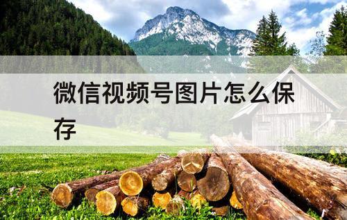 微信视频号图片怎么保存